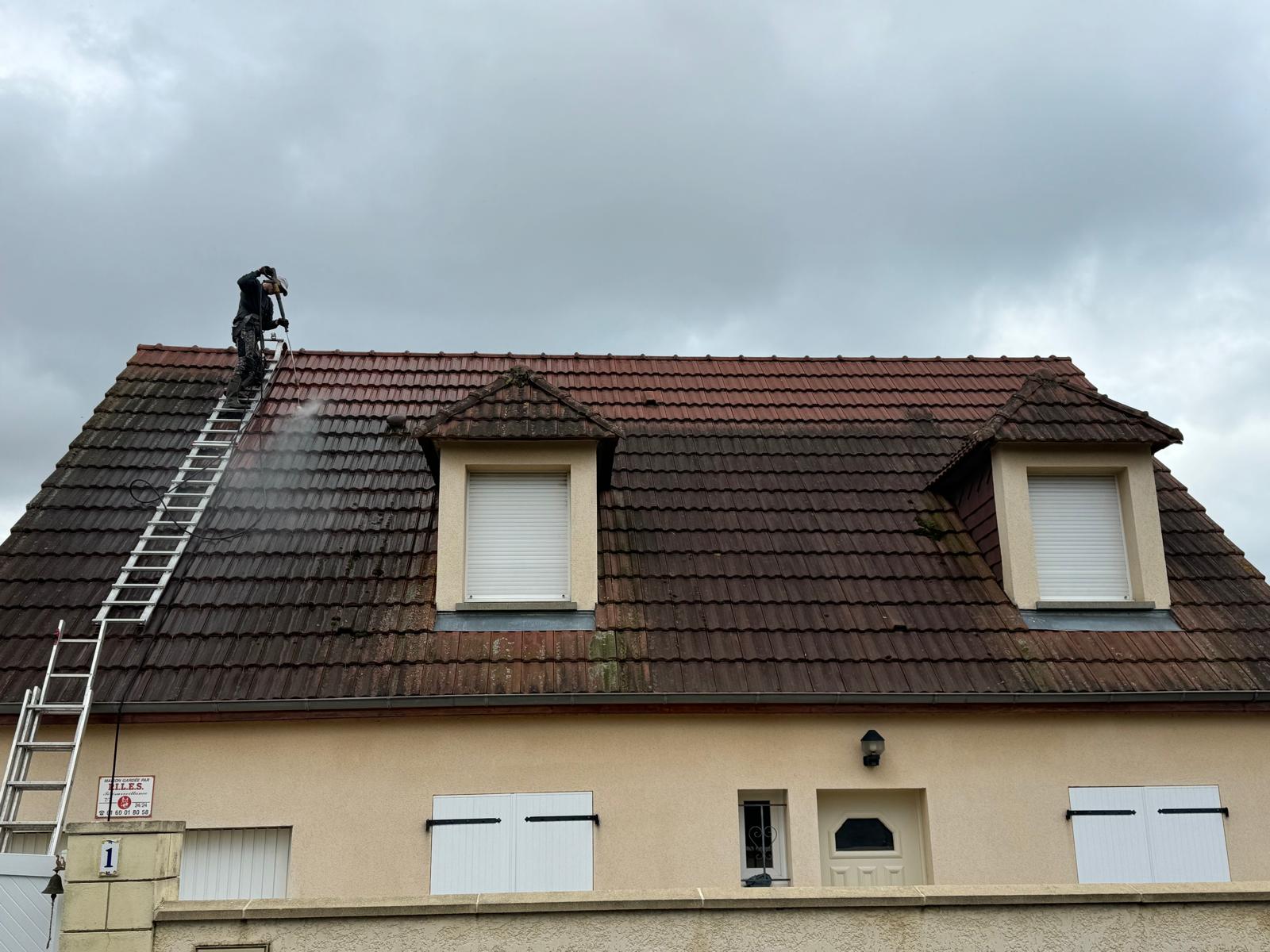 Nettoyage & Démoussage